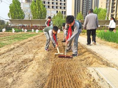 劳动|河南中小学开展多种形式劳动教育 课堂搬到“田野”上