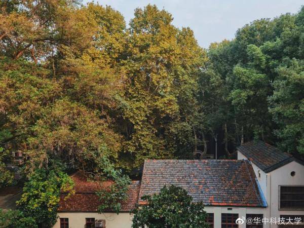 秋景|惊艳！高校官宣秋景来了，有你的母校吗？