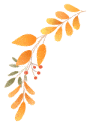 文章配图-7