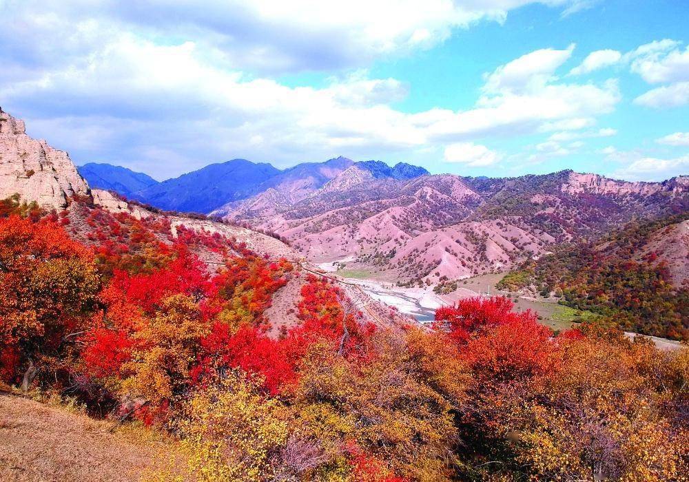 新疆霍城县:中华福寿山绚丽秋景让人不舍移目