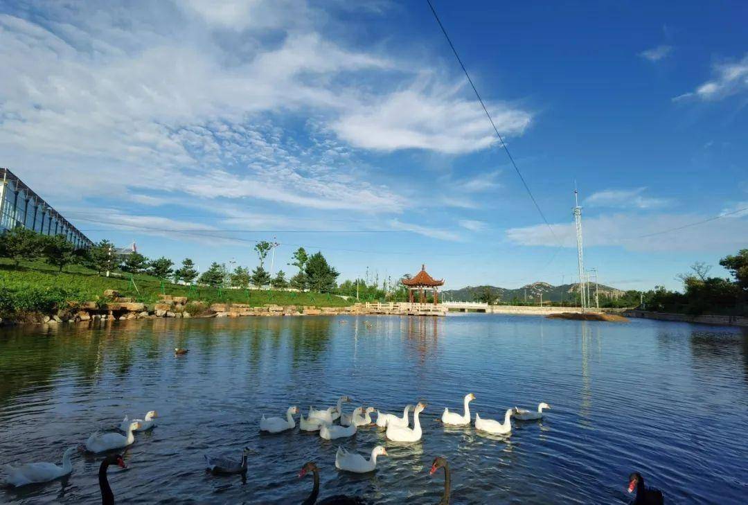 文登区一村一落皆美景,美丽乡村入画来