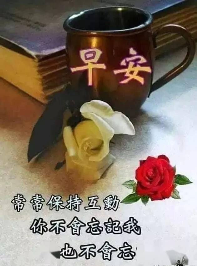 11月4日,最漂亮早上好动态表情图片大全,早晨好美图大全