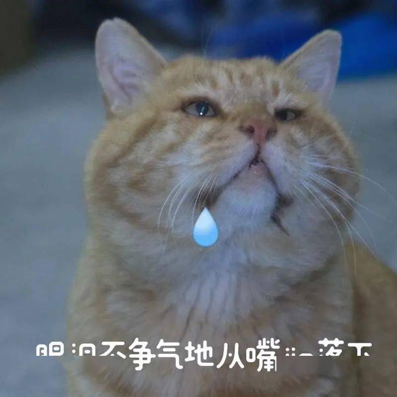 180f958701b14a57aac715f88d68a1e9.jpeg