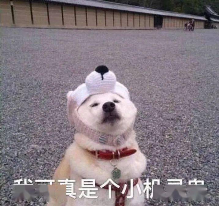 怎么才能变好看呢 561069fa09764449b3b53b170364b8f4.jpeg