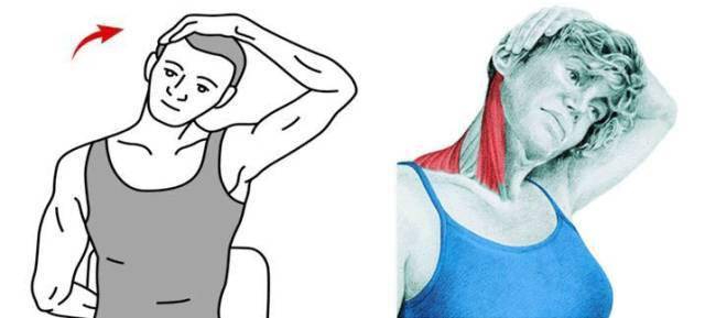 锻炼|赵丽颖再上热搜，锻炼生图线条感十足！更抓眼球的，是女神绝美的体态！