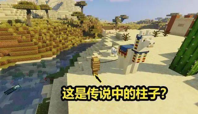 这才是真正的我的世界 92f7085e85b347c889c21fbf9b265b68.jpeg