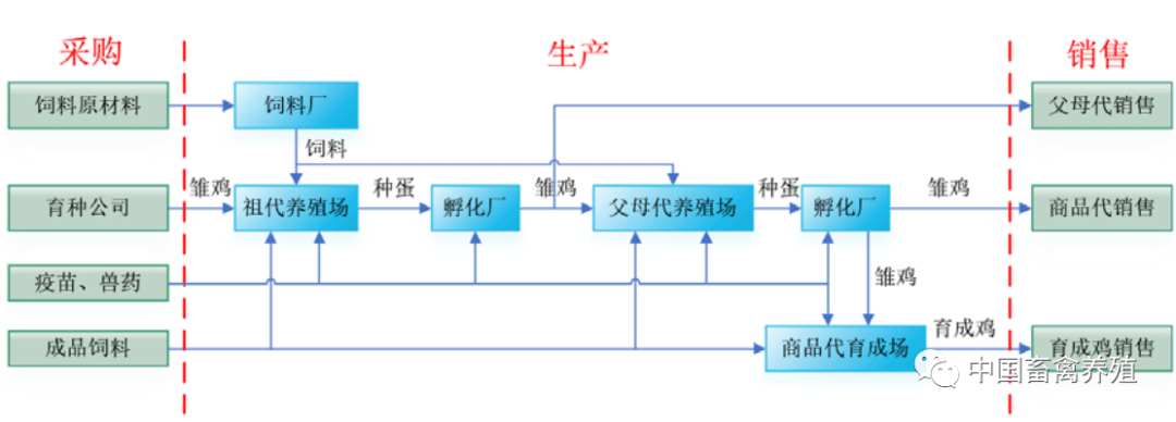 晓鸣农牧三年累计负债达2亿 正大集团三重身份引质疑(图10) 晓鸣农牧三年累计负债达2亿 正大集团三重身份引质疑(图10)