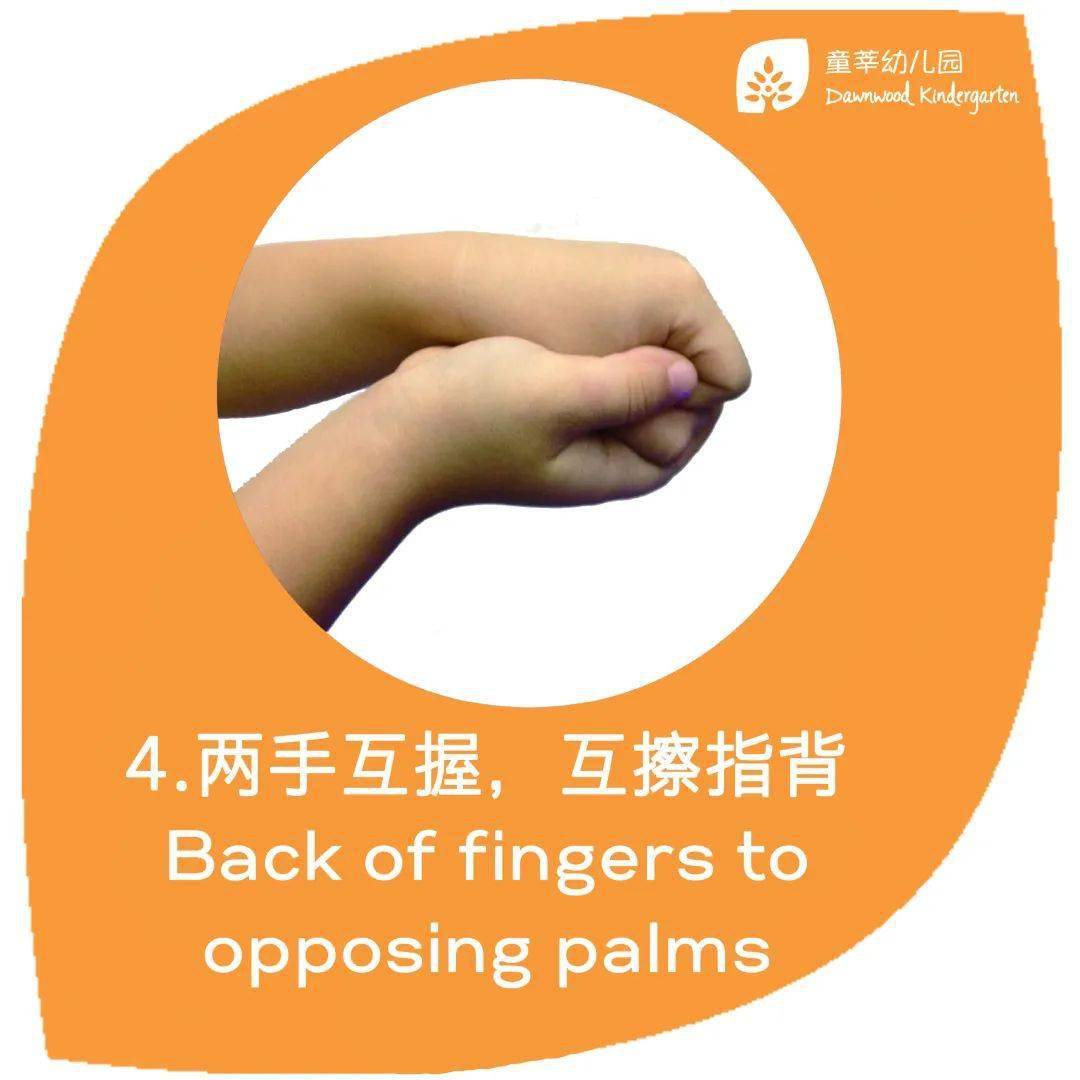 如何正确洗手七步法图片 01efbacc7e4b47739e44f2fdef500b48.jpeg