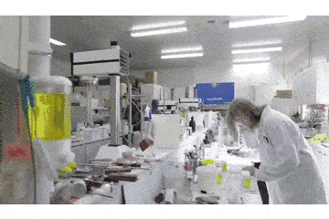 药房|澳洲药房口碑明星洁面，药剂师的挚爱首选！