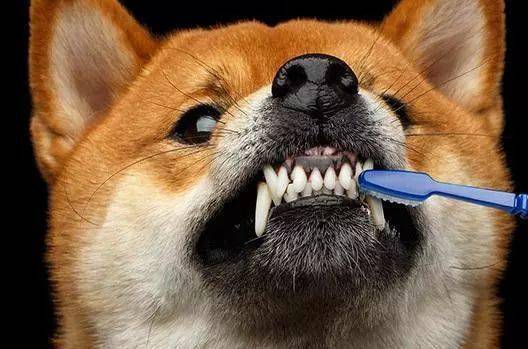 a3d4ed8ac94647b2816bff0161074899.jpeg