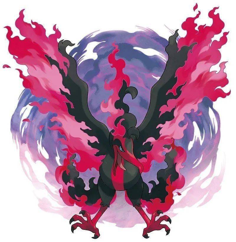 火焰鸟(伽勒尔样子)