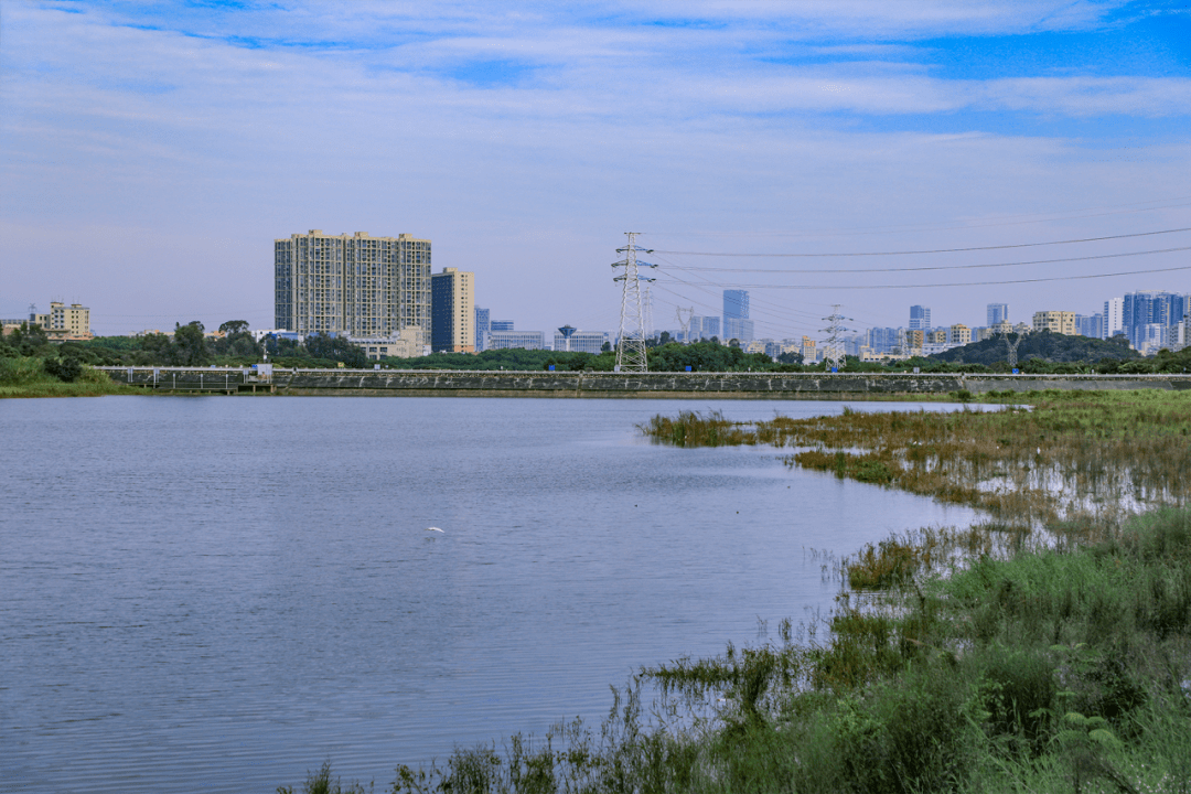 发现光明治水景观明湖公园湖光山色引人胜