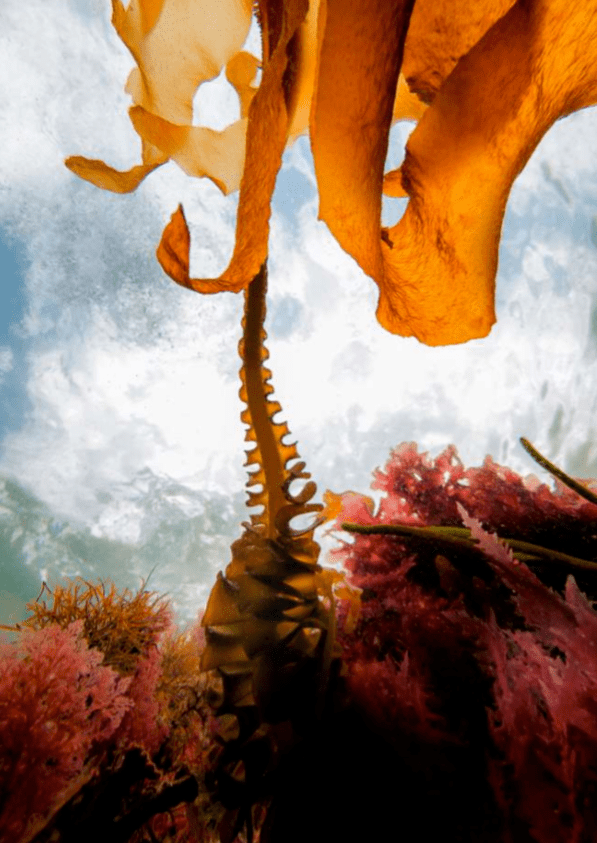 精华|戳进来 | 姐姐们出游越玩越美，为什么我却颜值狂掉？