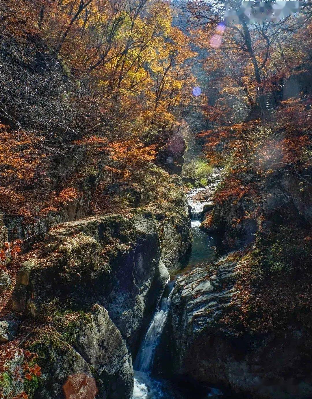 龙苍沟叠翠溪景区 /  今年的龙苍沟,受天气影响,红叶比以往时候来