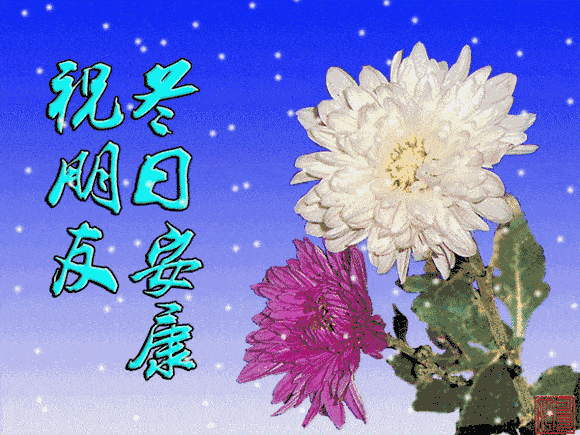 580_435gif 动态图 动图
