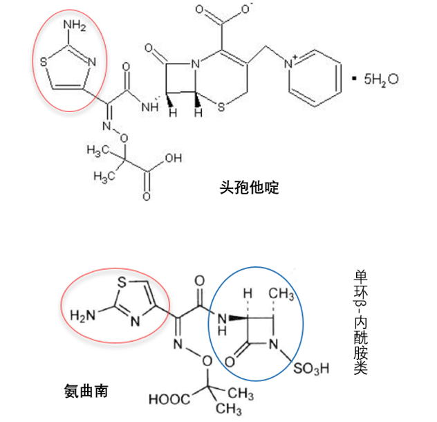 氨曲南和阿米卡星,这4点区别需牢记!