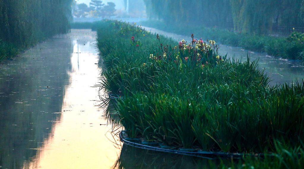 树叶飘在水面上 54ab0aacea9d412d85c5f57060131916.jpeg