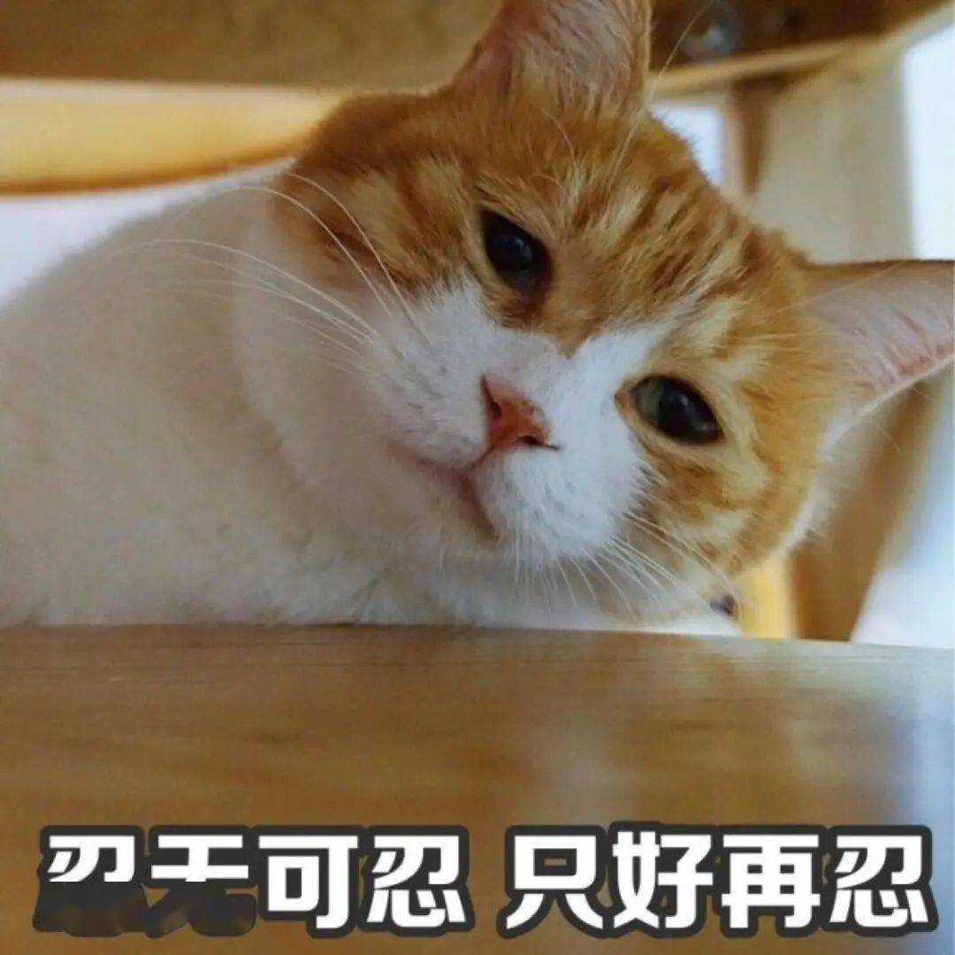 98d727aae0ca47b3bc7fad68e1394c86.jpeg