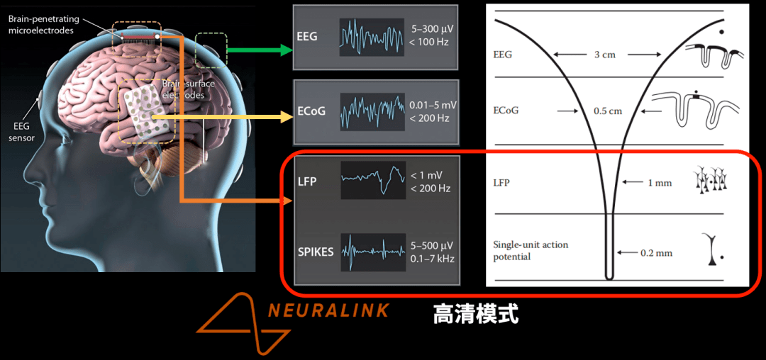 这位老先生终于通过脑控机械手吃到了中华传统美食——油条