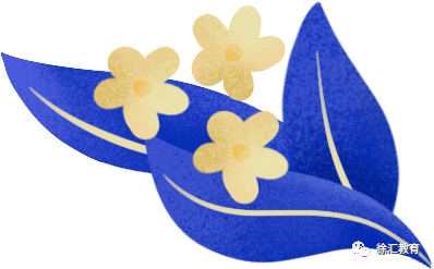 2020年上海市徐汇区_独家揭秘!2020年上海徐汇、杨浦公办初中梯队排名