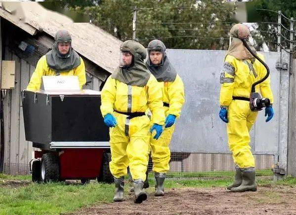 变异|病毒变异传染人类，丹麦捕杀所有水貂，这家A股公司“躺枪”，或巨亏数亿，3.8万股民懵了