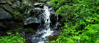 c45c65d0a2944eb793cad93ec7cd0b13.gif