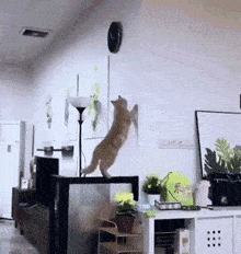 4f3e19e5684547c0a3c3cdae722a1061.gif