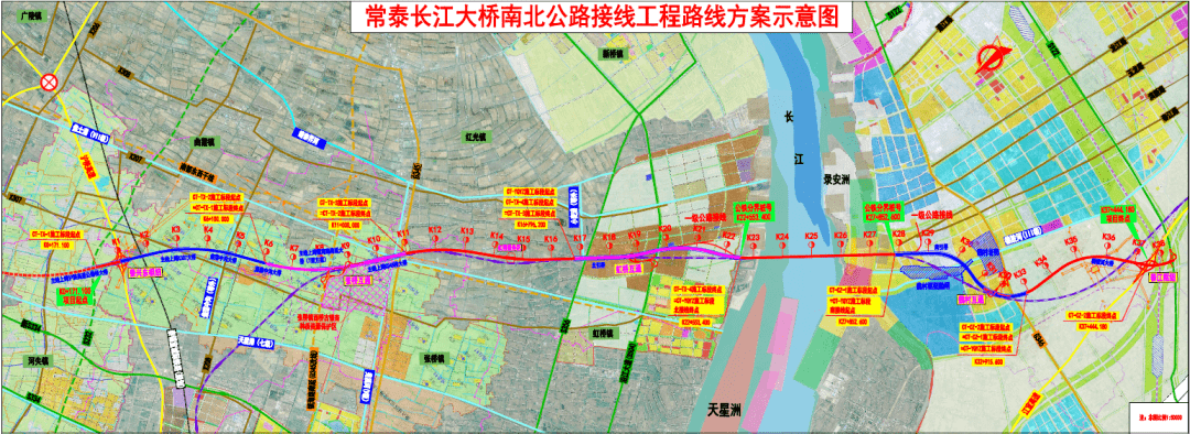 路线起自沪陕高速公路交叉的  泰兴东枢纽,向南经  泰兴市张桥镇东侧