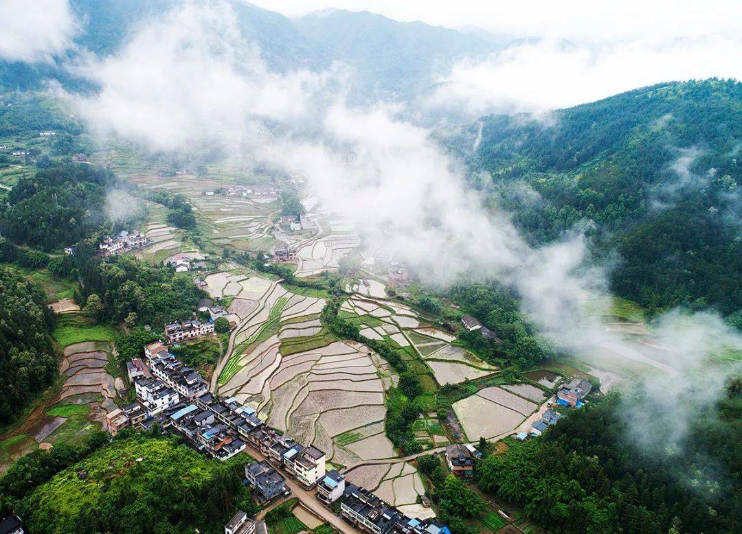 东山镇沿河村 肖根生 摄今天,让我们与小编一起走进上犹那些美丽乡村