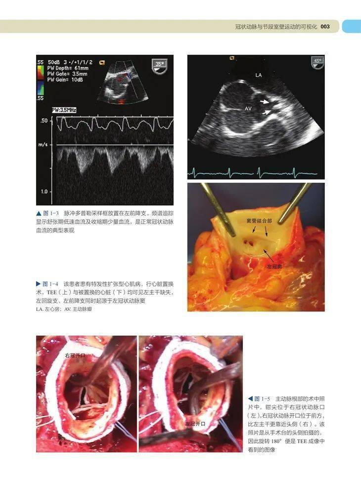 临床|双十一促销！中国科学技术出版社新书全场7折