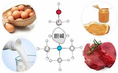 胎儿|想要健康宝宝？这些“养分”一个也不能少