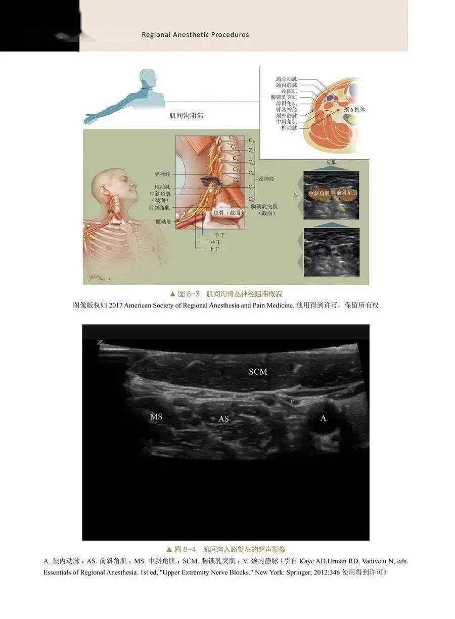 临床|双十一促销！中国科学技术出版社新书全场7折