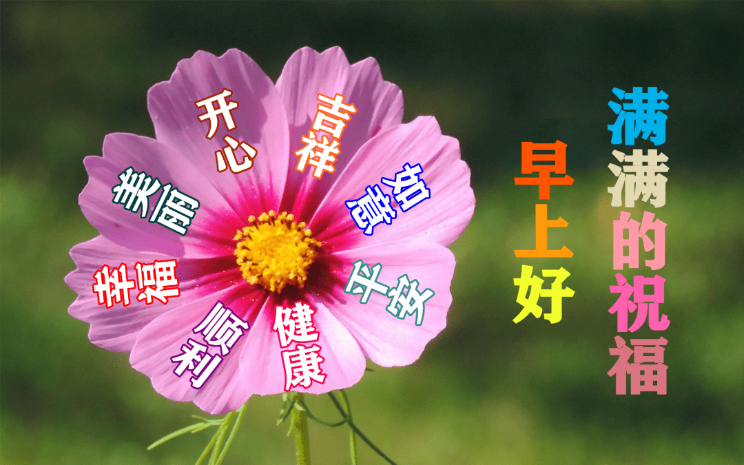 c04b66e944944eeb8cc7f8192795c779.png