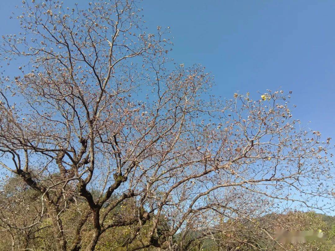 歙县各乡人口_歙县绍濂乡名人