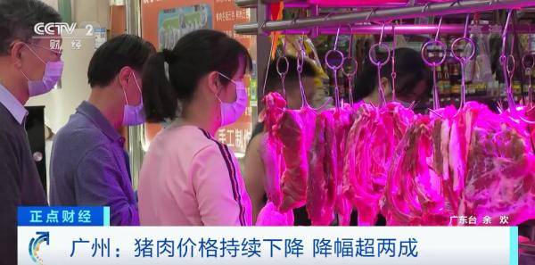 刘瑞和|猪肉价格，连降10周！多种菜价，直降20%！为什么？接下来怎么走？
