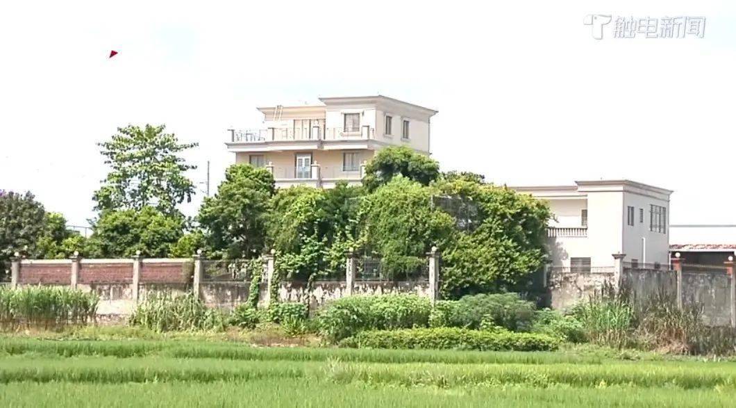 吴川那个镇人口最多_吴川杨屋村人口(2)