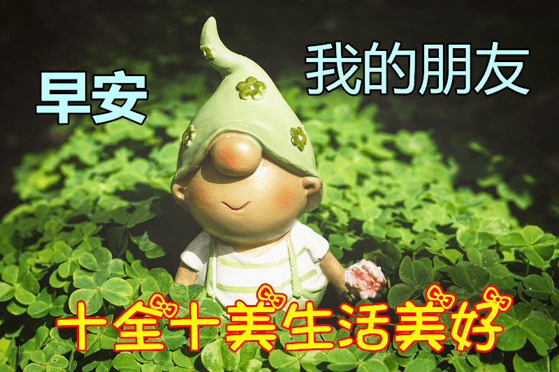 你的温暖充溢我的眼睛;微微的晨风,是你的关爱洒遍我的心灵;问候随心