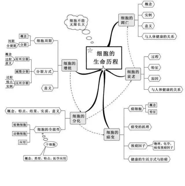 高中生物:一轮复习必看思维导图,帮你理清学习思路