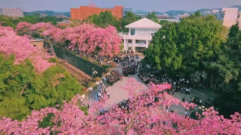 转载丨关于举办第八届"丝木棉节"暨校友返校日活动的通知