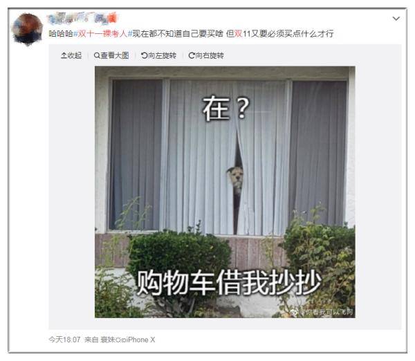 同比增长|成交额破3723亿元！海南人双11最喜欢买的是……