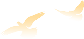 舒城二中初三学排名_六安舒城二中中考成绩放榜!(附名单)