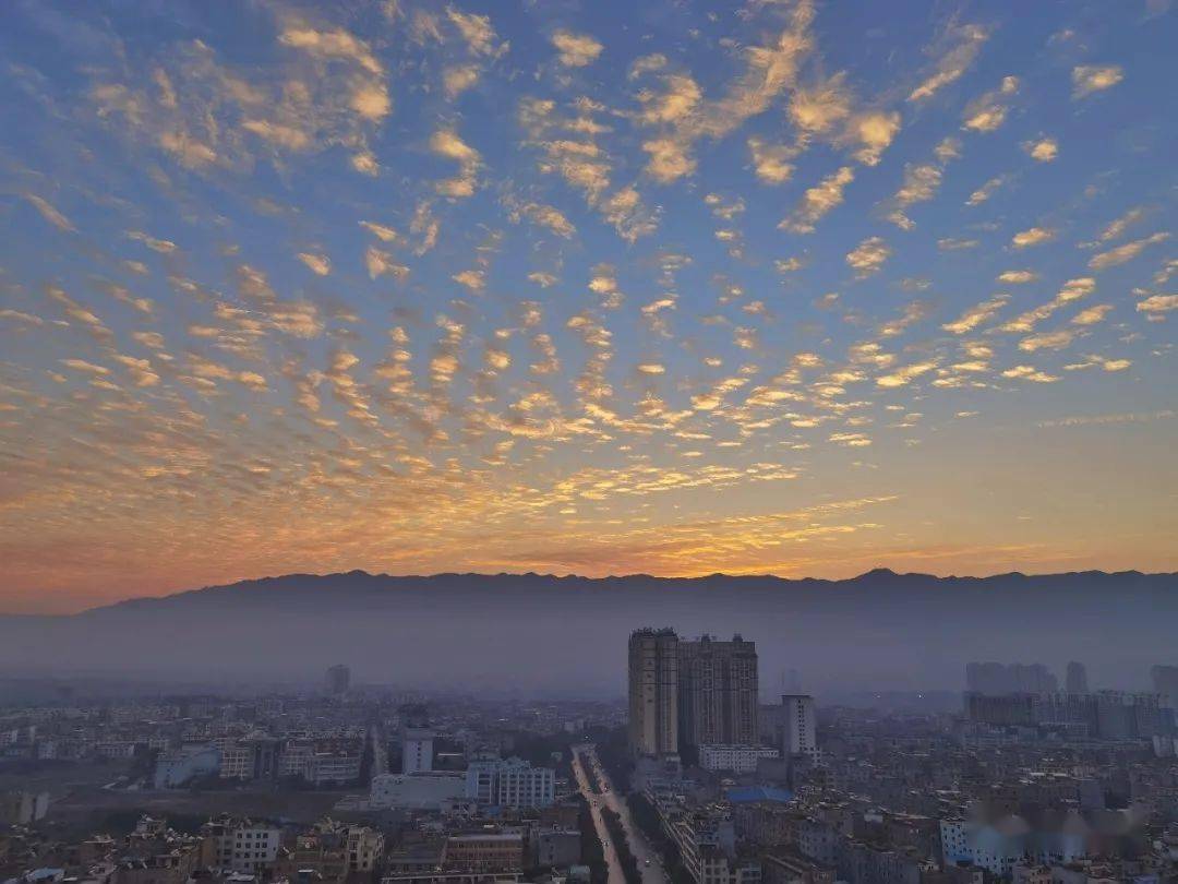 今天(11月11日)早上  宣威的上空出现了 美丽的"鱼鳞云" 在早霞的照映