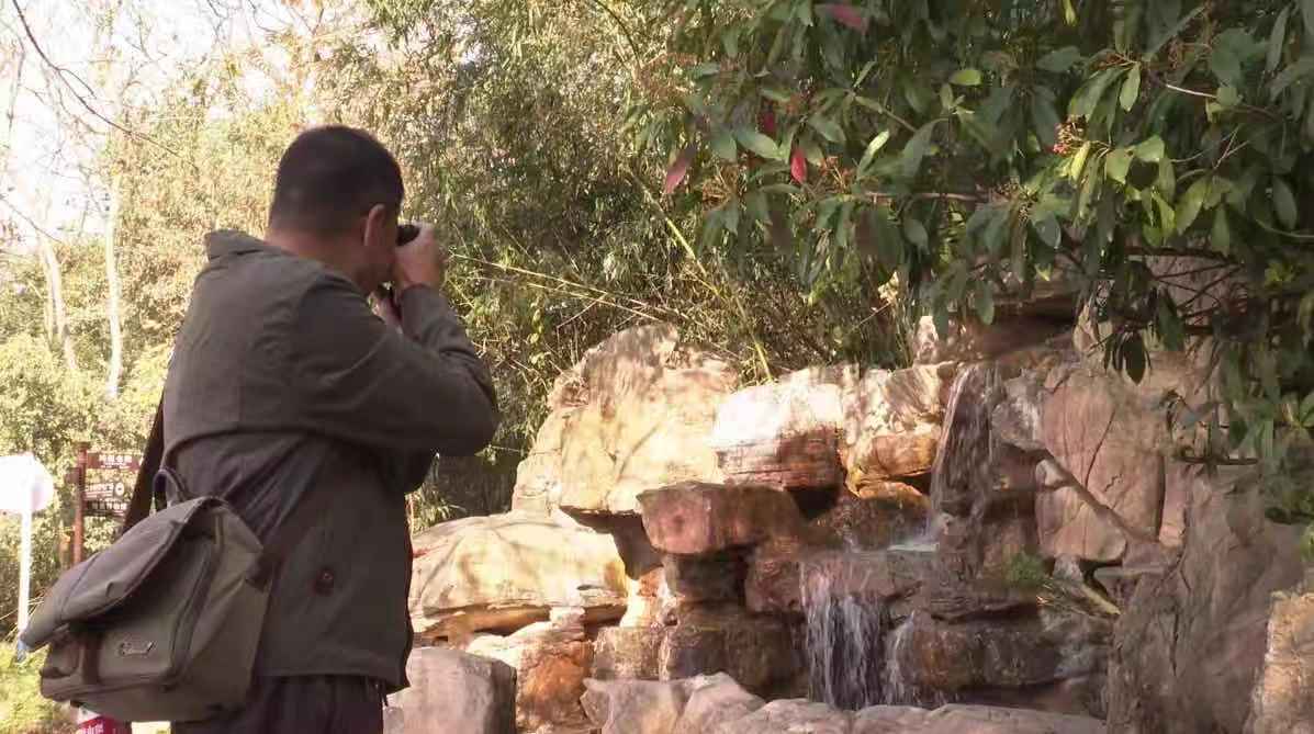 淮南|淮南八公山：为什么镜头都对准了这儿
