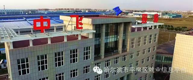 中飞股份招聘
