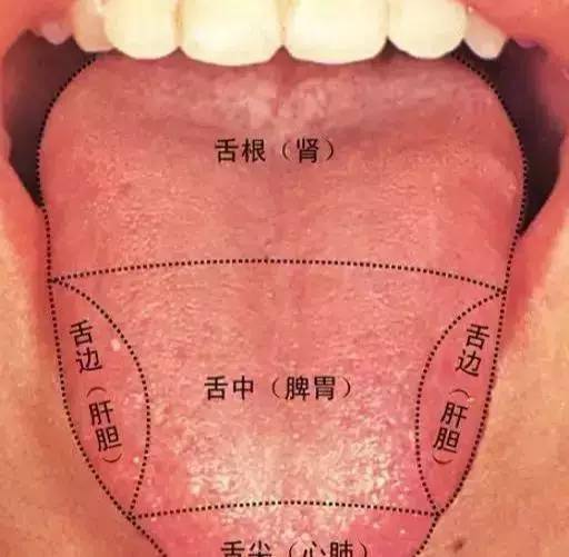 看舌苔就知道自己有没有胃病