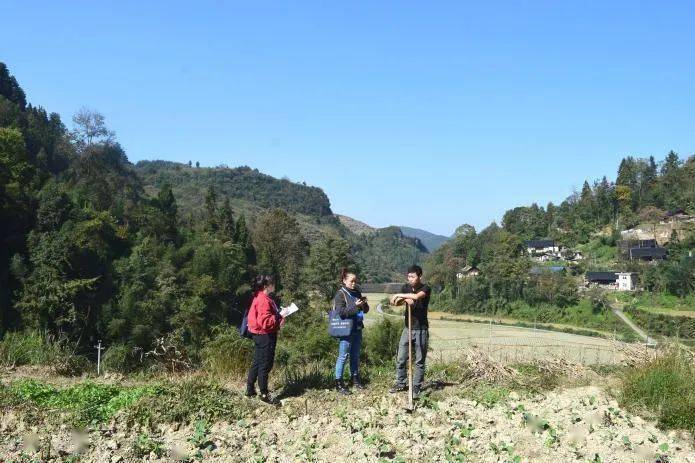 开阳县有多少人口_开阳县禁毒综合指标全市第五 宣传活动进学校(3)