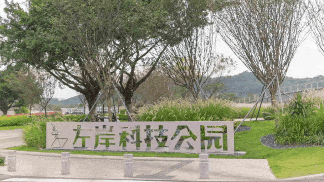 这条