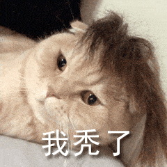 91452e590e58478881e7634e801161d5.gif