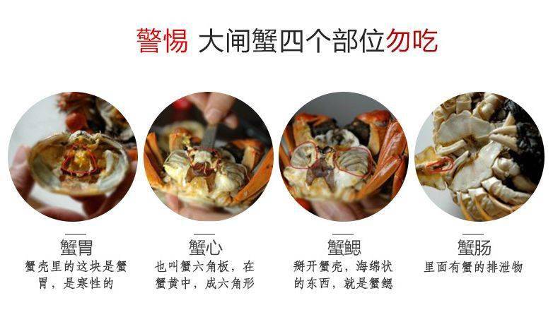 蟹胃,蟹心,蟹腮,蟹肠不能吃~注意!注意!· 我会吃螃蟹·螃蟹太美味啦!