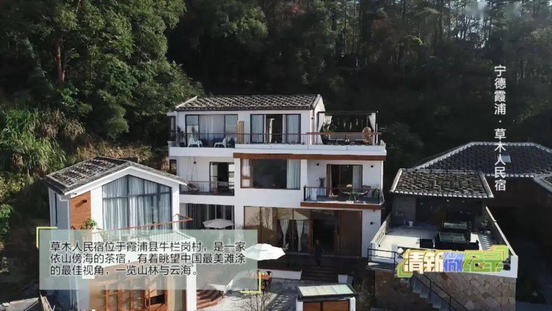 清新微纪录丨栖息身心的理想居所——草木人民宿
